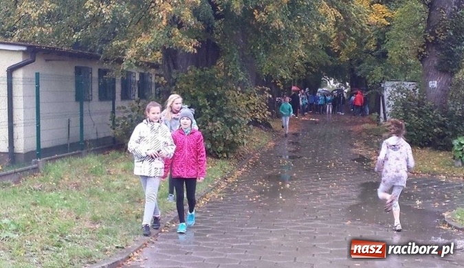 Zdjęcie w galerii na portalu naszraciborz.pl: Rejonowe Sztafetowe Biegi Przełajowe wiadomości z regionu