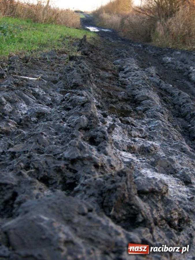 Zdjęcie w galerii na portalu naszraciborz.pl: Z mapką w błoto wiadomości z regionu
