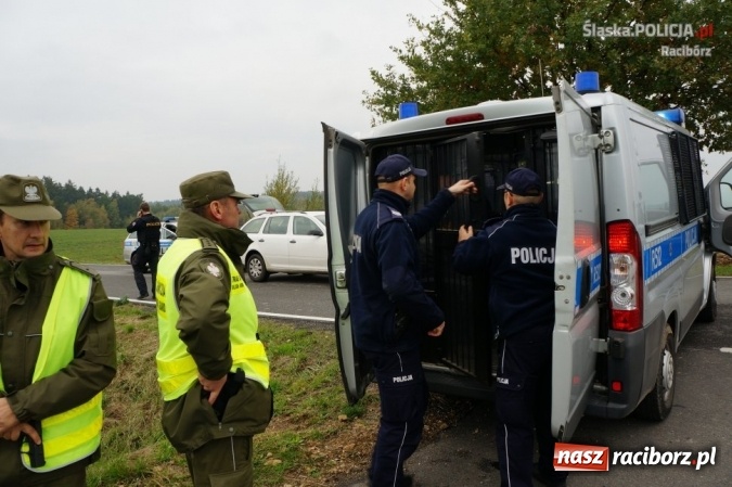 Zdjęcie w galerii na portalu naszraciborz.pl: Raciborscy policjanci w pościgu transgranicznym we współpracy ze strażą graniczną i czeską policją wiadomości z regionu