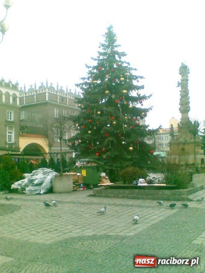 Zdjęcie w galerii na portalu naszraciborz.pl: Świąteczne 