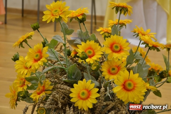 Zdjęcie w galerii na portalu naszraciborz.pl: Prywatka u Seniorów – program rozrywkowy na zamku wiadomości z regionu