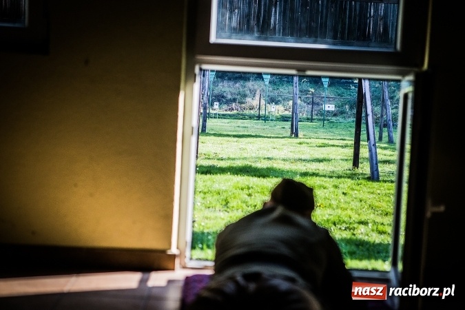 Zdjęcie w galerii na portalu naszraciborz.pl: Dzień otwarty Miejskiego Klubu Strzeleckiego Ligi Obrony Kraju Racibórz wiadomości z regionu