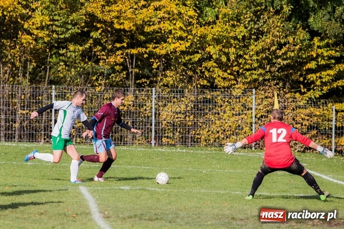 Zdjęcie w galerii na portalu naszraciborz.pl: Ocice zdeptane przez Zgodę wiadomości z regionu