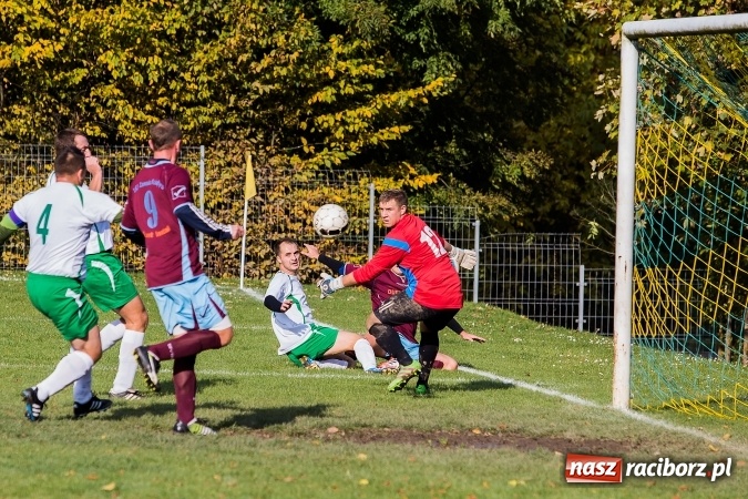 Zdjęcie w galerii na portalu naszraciborz.pl: Ocice zdeptane przez Zgodę wiadomości z regionu
