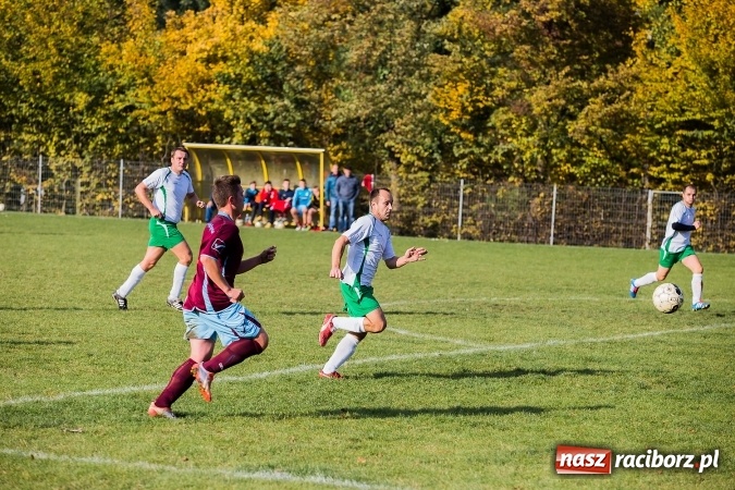 Zdjęcie w galerii na portalu naszraciborz.pl: Ocice zdeptane przez Zgodę wiadomości z regionu