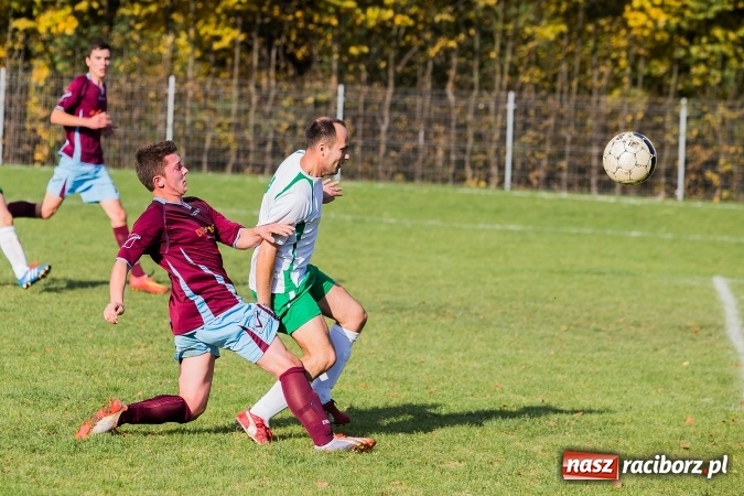 Zdjęcie w galerii na portalu naszraciborz.pl: Ocice zdeptane przez Zgodę wiadomości z regionu