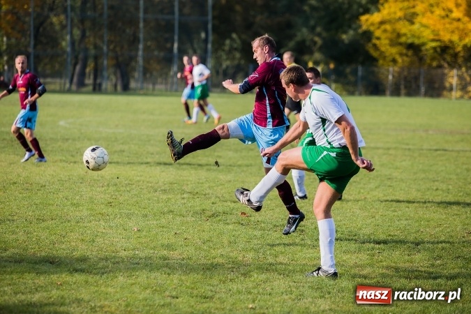 Zdjęcie w galerii na portalu naszraciborz.pl: Ocice zdeptane przez Zgodę wiadomości z regionu