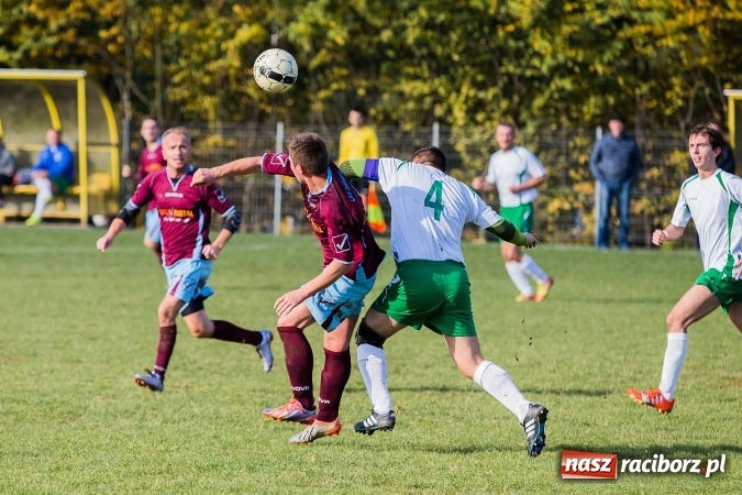 Zdjęcie w galerii na portalu naszraciborz.pl: Ocice zdeptane przez Zgodę wiadomości z regionu