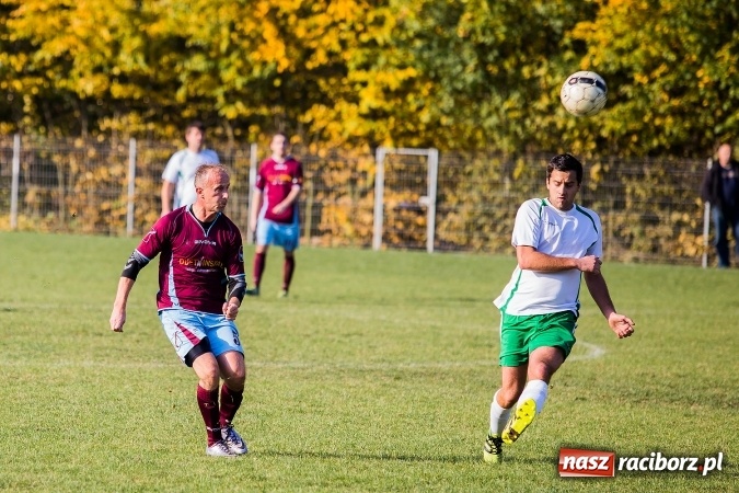 Zdjęcie w galerii na portalu naszraciborz.pl: Ocice zdeptane przez Zgodę wiadomości z regionu