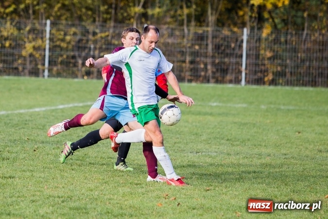 Zdjęcie w galerii na portalu naszraciborz.pl: Ocice zdeptane przez Zgodę wiadomości z regionu