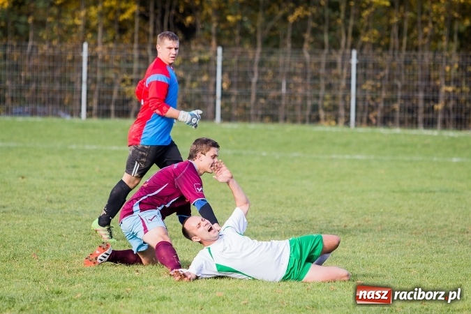 Zdjęcie w galerii na portalu naszraciborz.pl: Ocice zdeptane przez Zgodę wiadomości z regionu