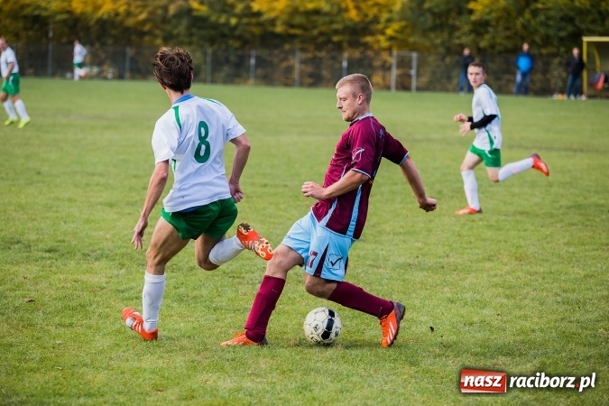 Zdjęcie w galerii na portalu naszraciborz.pl: Ocice zdeptane przez Zgodę wiadomości z regionu