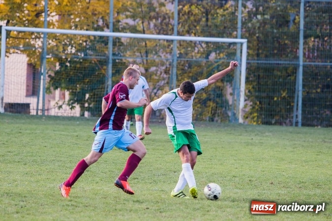 Zdjęcie w galerii na portalu naszraciborz.pl: Ocice zdeptane przez Zgodę wiadomości z regionu