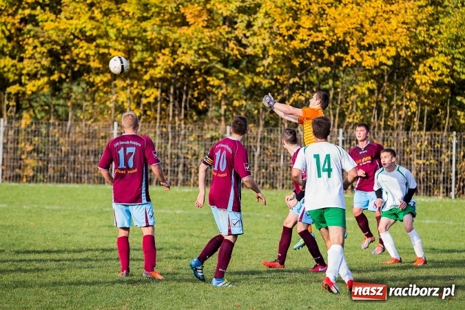 Zdjęcie w galerii na portalu naszraciborz.pl: Ocice zdeptane przez Zgodę wiadomości z regionu