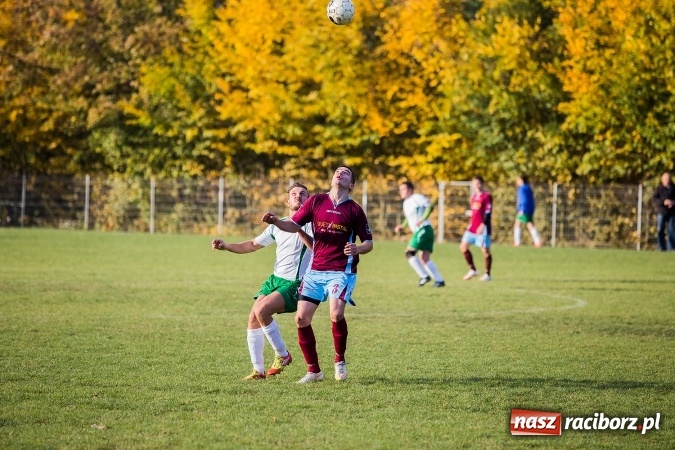 Zdjęcie w galerii na portalu naszraciborz.pl: Ocice zdeptane przez Zgodę wiadomości z regionu