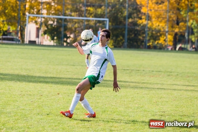 Zdjęcie w galerii na portalu naszraciborz.pl: Ocice zdeptane przez Zgodę wiadomości z regionu