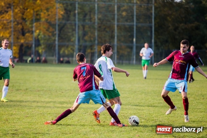 Zdjęcie w galerii na portalu naszraciborz.pl: Ocice zdeptane przez Zgodę wiadomości z regionu