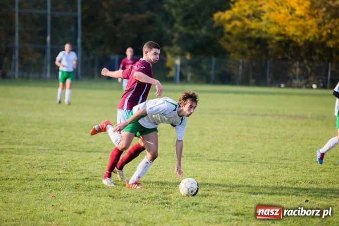 Zdjęcie w galerii na portalu naszraciborz.pl: Ocice zdeptane przez Zgodę wiadomości z regionu