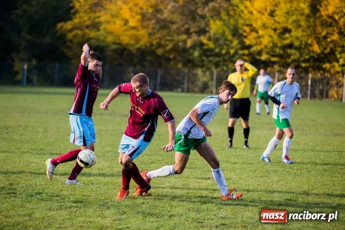 Zdjęcie w galerii na portalu naszraciborz.pl: Ocice zdeptane przez Zgodę wiadomości z regionu