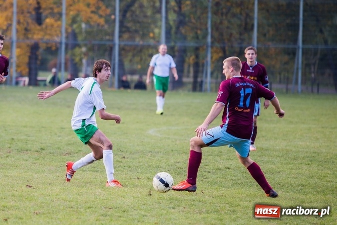 Zdjęcie w galerii na portalu naszraciborz.pl: Ocice zdeptane przez Zgodę wiadomości z regionu