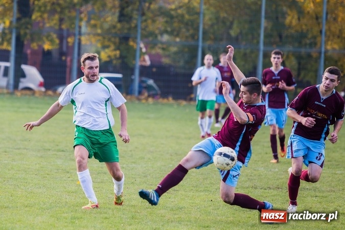 Zdjęcie w galerii na portalu naszraciborz.pl: Ocice zdeptane przez Zgodę wiadomości z regionu