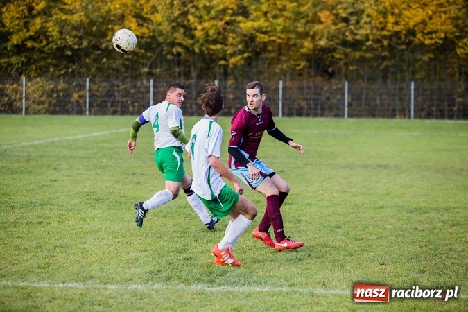 Zdjęcie w galerii na portalu naszraciborz.pl: Ocice zdeptane przez Zgodę wiadomości z regionu