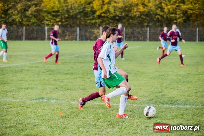 Zdjęcie w galerii na portalu naszraciborz.pl: Ocice zdeptane przez Zgodę wiadomości z regionu