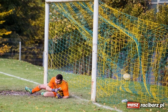 Zdjęcie w galerii na portalu naszraciborz.pl: Ocice zdeptane przez Zgodę wiadomości z regionu