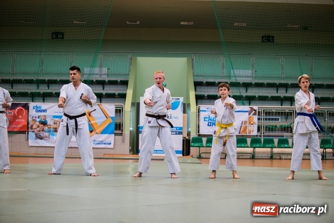 Zdjęcie w galerii na portalu naszraciborz.pl: Budo Gala 2016. Kultura Japonii w Arenie Rafako wiadomości z regionu