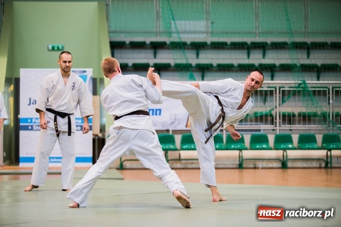 Zdjęcie w galerii na portalu naszraciborz.pl: Budo Gala 2016. Kultura Japonii w Arenie Rafako wiadomości z regionu