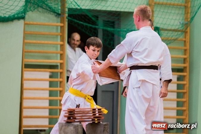 Zdjęcie w galerii na portalu naszraciborz.pl: Budo Gala 2016. Kultura Japonii w Arenie Rafako wiadomości z regionu