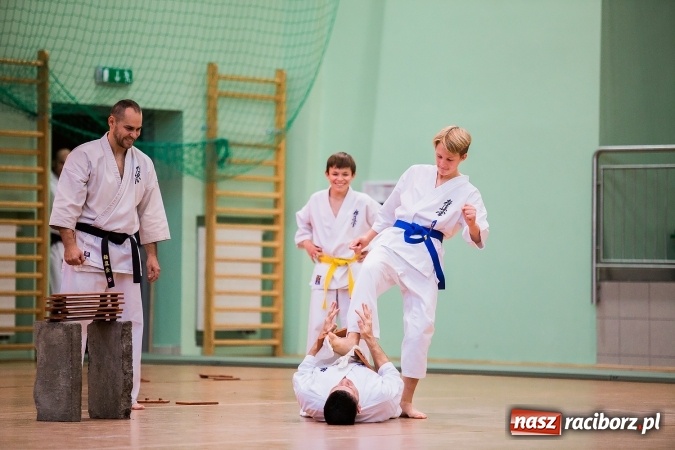 Zdjęcie w galerii na portalu naszraciborz.pl: Budo Gala 2016. Kultura Japonii w Arenie Rafako wiadomości z regionu