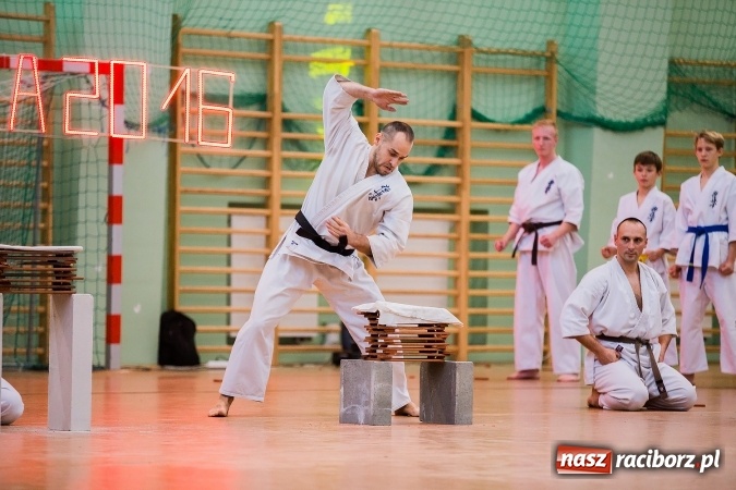 Zdjęcie w galerii na portalu naszraciborz.pl: Budo Gala 2016. Kultura Japonii w Arenie Rafako wiadomości z regionu