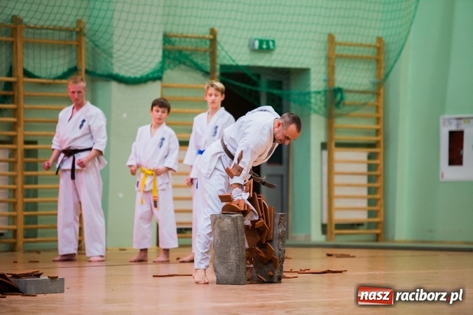 Zdjęcie w galerii na portalu naszraciborz.pl: Budo Gala 2016. Kultura Japonii w Arenie Rafako wiadomości z regionu