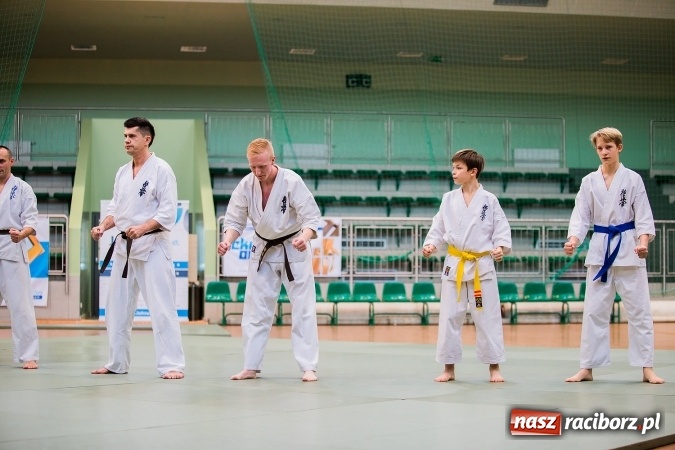 Zdjęcie w galerii na portalu naszraciborz.pl: Budo Gala 2016. Kultura Japonii w Arenie Rafako wiadomości z regionu