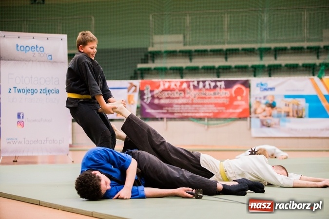Zdjęcie w galerii na portalu naszraciborz.pl: Budo Gala 2016. Kultura Japonii w Arenie Rafako wiadomości z regionu