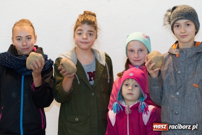 Zdjęcie w galerii na portalu naszraciborz.pl: Kartofelfest w Gamowie FOTO wiadomości z regionu