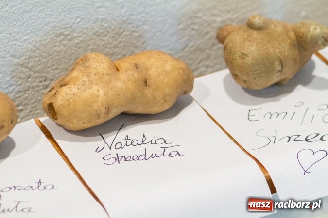 Zdjęcie w galerii na portalu naszraciborz.pl: Kartofelfest w Gamowie FOTO wiadomości z regionu