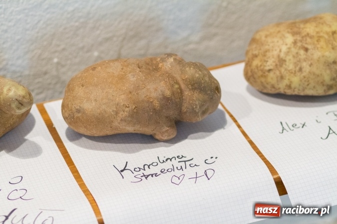 Zdjęcie w galerii na portalu naszraciborz.pl: Kartofelfest w Gamowie FOTO wiadomości z regionu