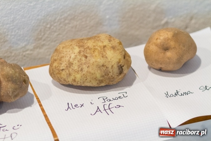 Zdjęcie w galerii na portalu naszraciborz.pl: Kartofelfest w Gamowie FOTO wiadomości z regionu