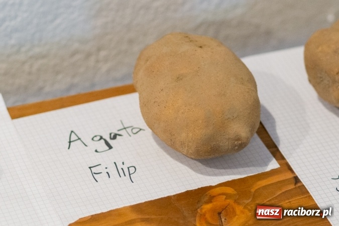 Zdjęcie w galerii na portalu naszraciborz.pl: Kartofelfest w Gamowie FOTO wiadomości z regionu