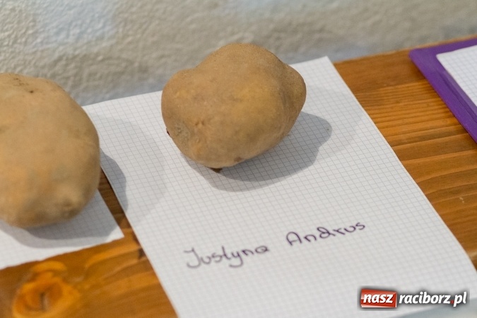 Zdjęcie w galerii na portalu naszraciborz.pl: Kartofelfest w Gamowie FOTO wiadomości z regionu