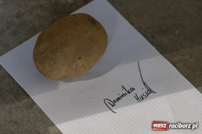 Zdjęcie w galerii na portalu naszraciborz.pl: Kartofelfest w Gamowie FOTO wiadomości z regionu