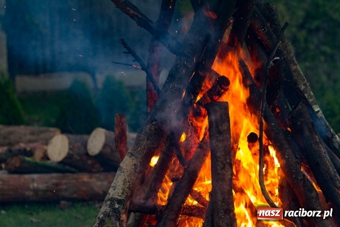 Zdjęcie w galerii na portalu naszraciborz.pl: Kartofelfest w Gamowie FOTO wiadomości z regionu