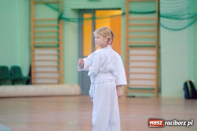 Zdjęcie w galerii na portalu naszraciborz.pl: Wsp&oacute;lny trening z mistrzami na zakończenie Budo Gali 2016 wiadomości z regionu