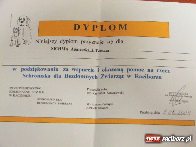 Zdjęcie w galerii na portalu naszraciborz.pl: Karma dla psów zamiast ślubnych kwiatów  wiadomości z regionu