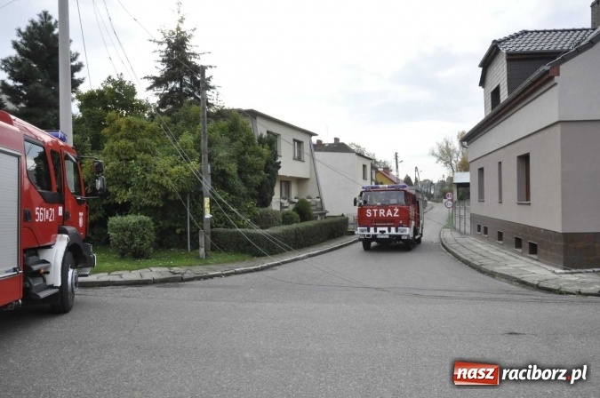 Zdjęcie w galerii na portalu naszraciborz.pl: Ciężar&oacute;wka uderzyła w przydrożny słup w Krzanowicach i spowodowała zniszczenia w sieci energetycznej wiadomości z regionu