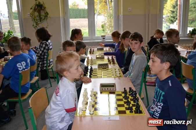 Zdjęcie w galerii na portalu naszraciborz.pl: SP4 górą na zawodach szachowych w Tworkowie  wiadomości z regionu