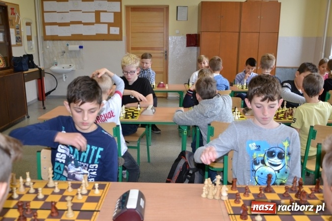 Zdjęcie w galerii na portalu naszraciborz.pl: SP4 górą na zawodach szachowych w Tworkowie  wiadomości z regionu