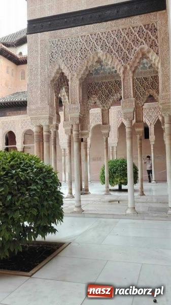 Zdjęcie w galerii na portalu naszraciborz.pl: W słonecznej Andaluzji, czyli raciborzanie na praktykach w Hiszpanii wiadomości z regionu